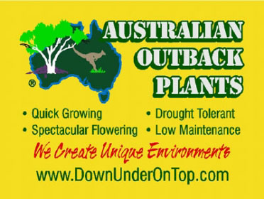 Australian Outback Plants